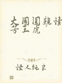 大团圆亲情会王芳王虎封面