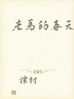 老马的春天敏静封面