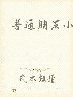 普通朋友小说封面