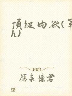 顶级肉欲(军高h)