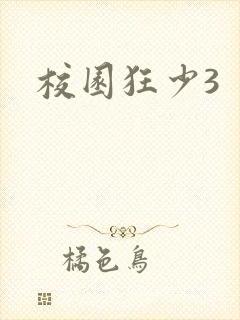 校园狂少3