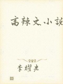 高辣文小说