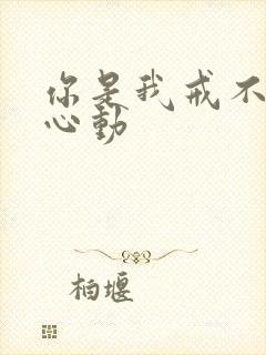 你是我戒不掉的心动