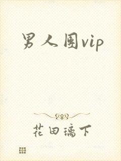 男人团vip