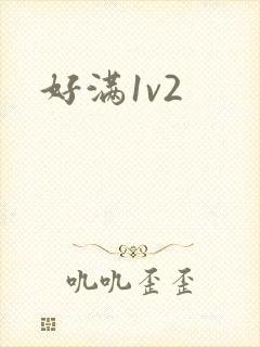 好满1v2