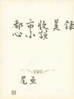 都市收美录宁素心小说