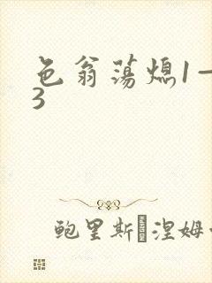 色翁荡熄1—13封面