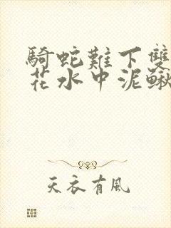 骑蛇难下双金银花水中泥鳅双男主封面