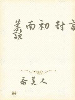 叶南初 封言小说