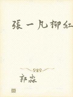 张一凡柳红