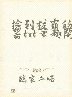 捡到校霸的遥控器txt笔趣阁