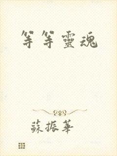 等等灵魂