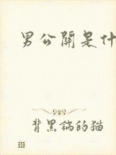 男公关是什么封面