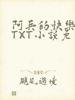 阿兵的快乐生活TXT小说免费阅读全章封面