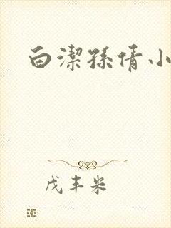 白洁孙倩小说封面