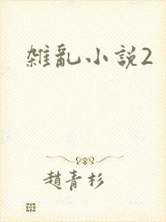 杂乱小说2