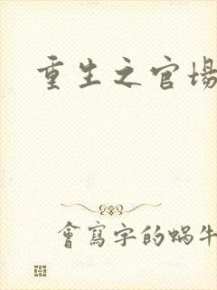 重生之官场风流