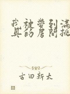 我被带到满是玩具的房间挑调作文