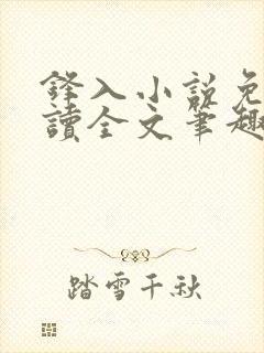 锋入小说免费阅读全文笔趣阁