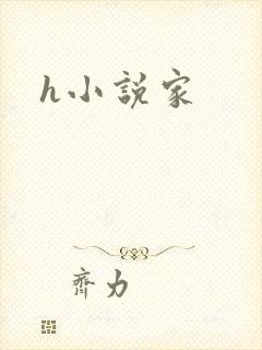 h小说家
