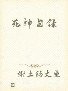 死神目录封面