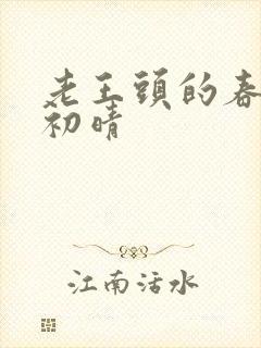 老王头的春天林初晴