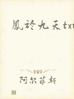 凤于九天txt