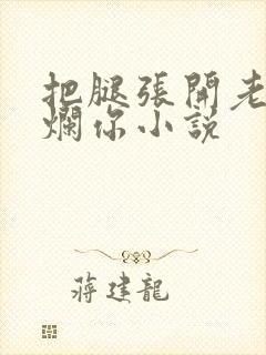 把腿张开老子臊烂你小说封面