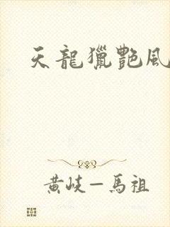 天龙猎艳风流封面