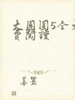 大团圆5全文免费阅读