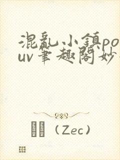 混乱小镇popuv笔趣阁妙妙封面