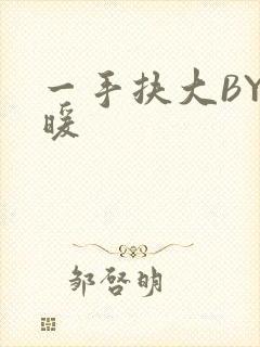 一手扶大BY泱暖封面