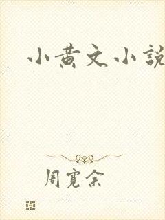 小黄文小说