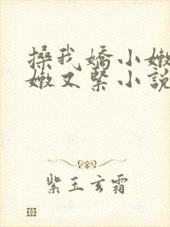 搡我娇小嫩苞又嫩又紧小说封面