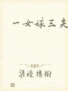 一女嫁三夫封面