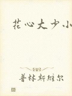 花心大少小说