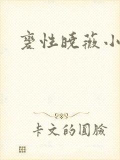 变性晓薇小说封面