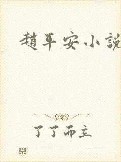 赵平安小说主角封面