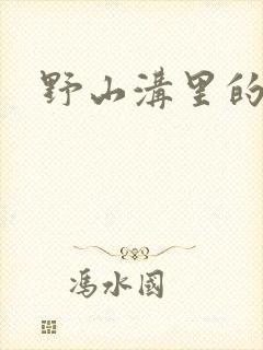 野山沟里的村庄