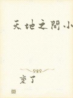 天地之间小说