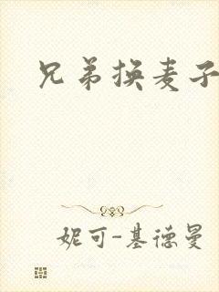 兄弟换麦子4封面