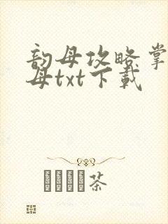 韵母攻略掌中美母txt下载