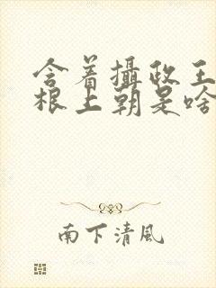 含着摄政王的紫根上朝是啥小说