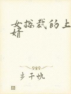 女总裁的上门女婿