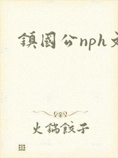 镇国公nph文