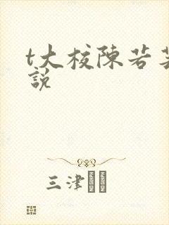 t大校陈若芸小说封面