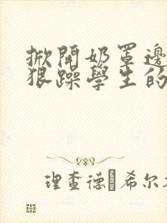 掀开奶罩边躁狠狠躁学生的小文字