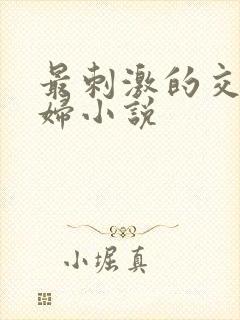 最刺激的交换夫妇小说