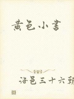 黄色小书