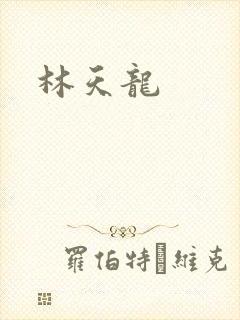 林天龙封面